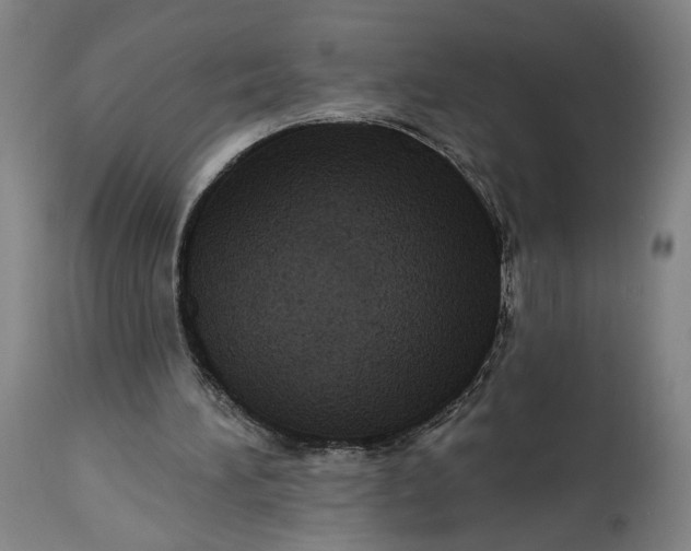 X0000114610196200911101159