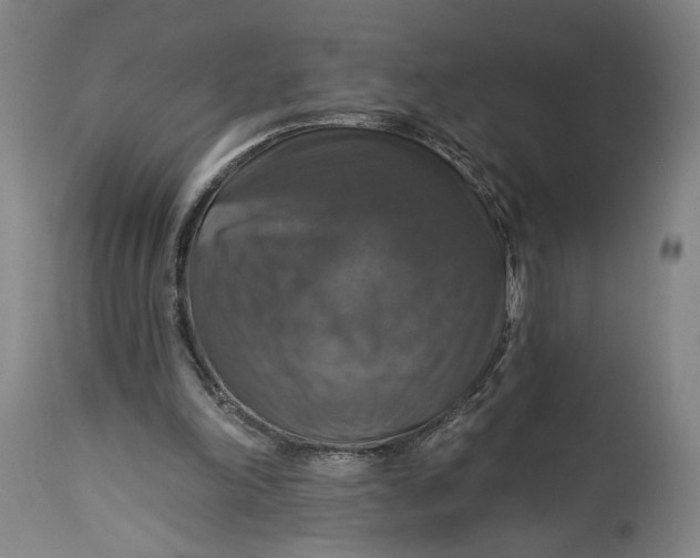 X0000114610198200911101159