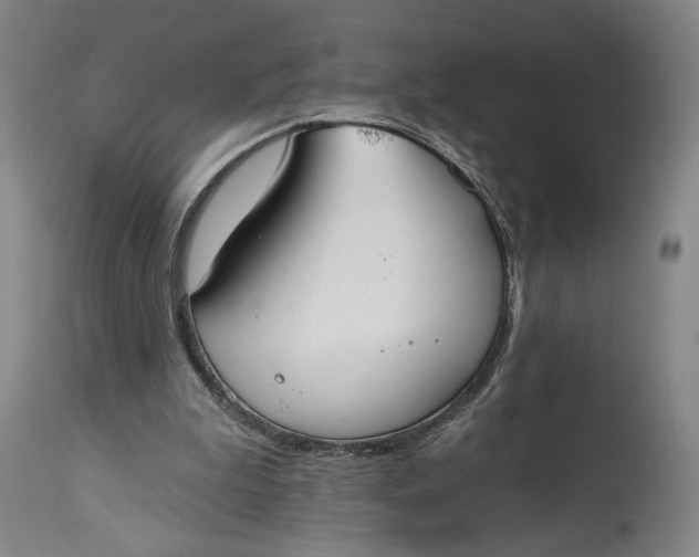 X0000114610199200911101159