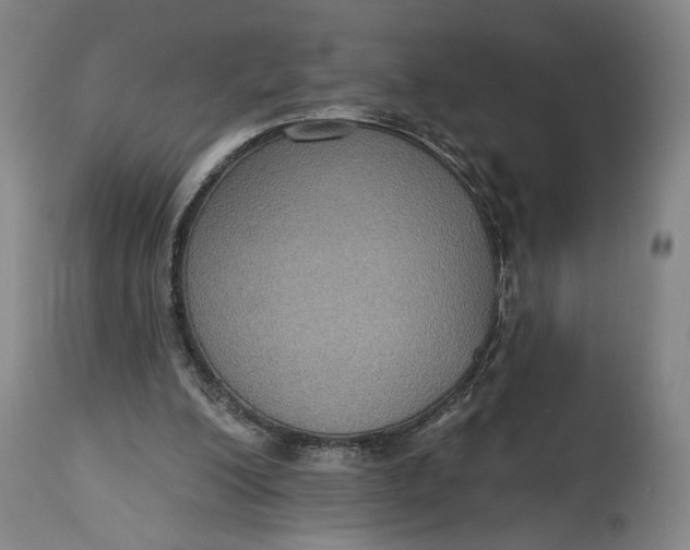 X0000114610200200911101159