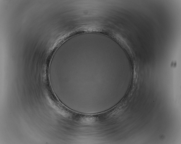 X0000114610202200911101159