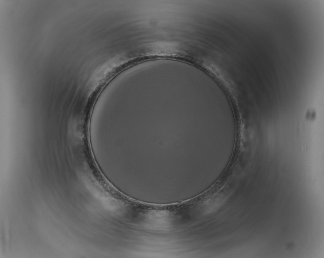 X0000114610203200911101159