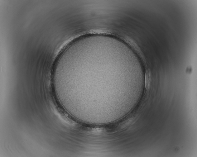 X0000114610204200911101159