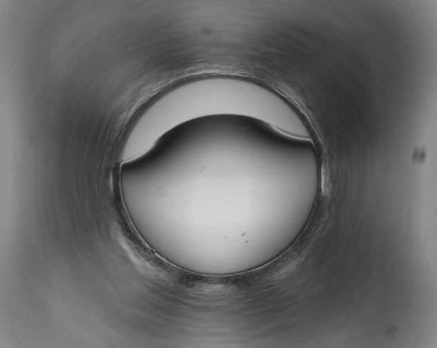 X0000114610205200911101159