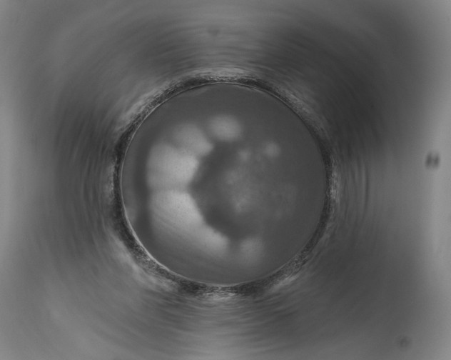 X0000114610206200911101159