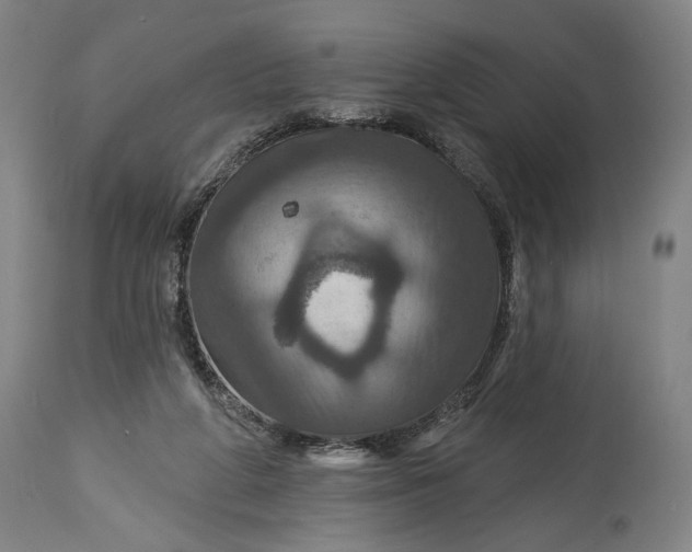 X0000114610210200911101159