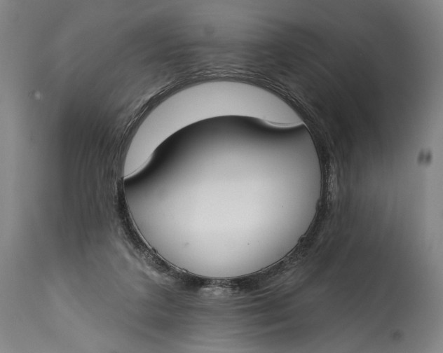 X0000114610211200911101159