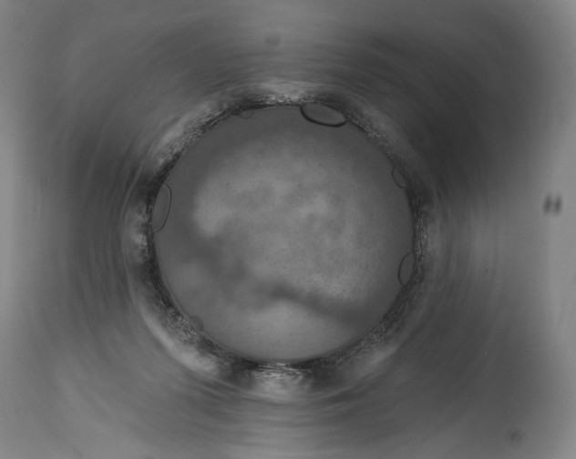 X0000114610215200911101159