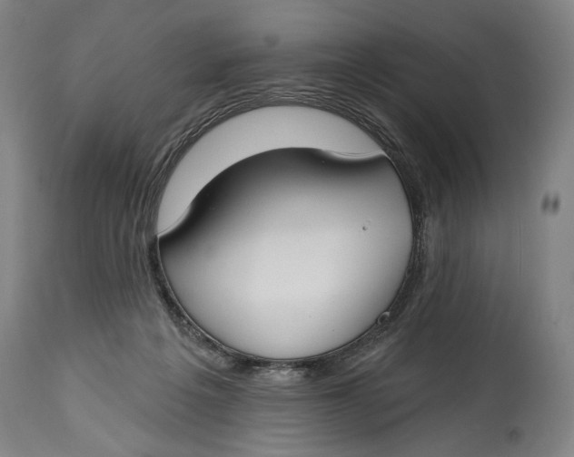 X0000114610217200911101159