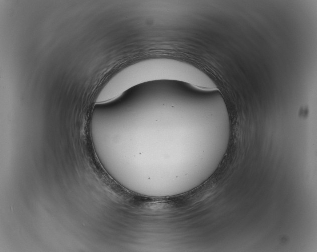 X0000114610219200911101159