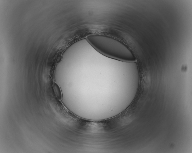 X0000114610221200911101159