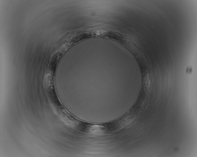 X0000114610222200911101159