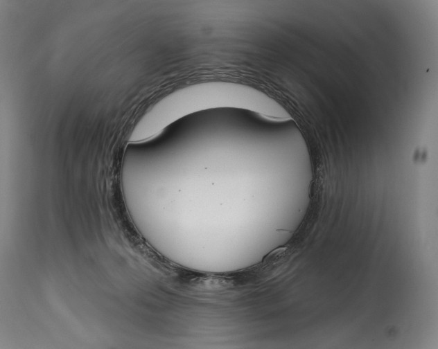 X0000114610223200911101159