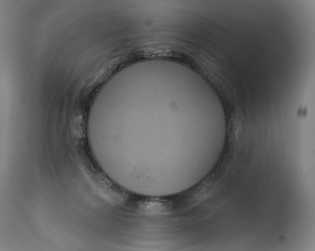 X0000114610224200911101159