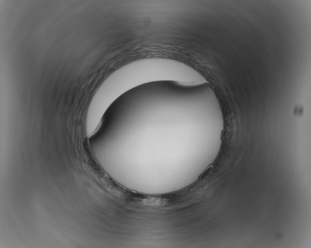 X0000114610225200911101159