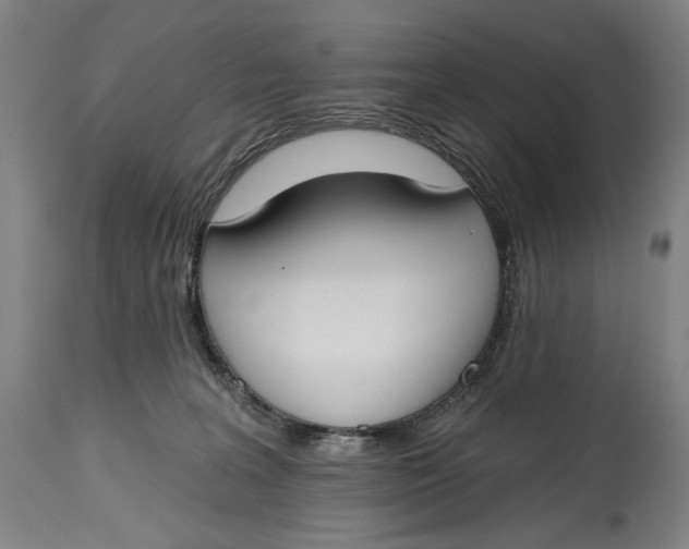 X0000114610227200911101159