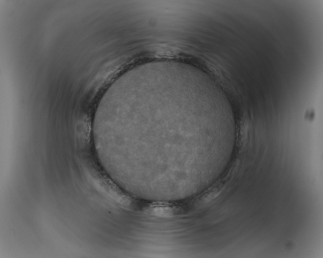 X0000114610228200911101159