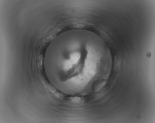 X0000114610230200911101159