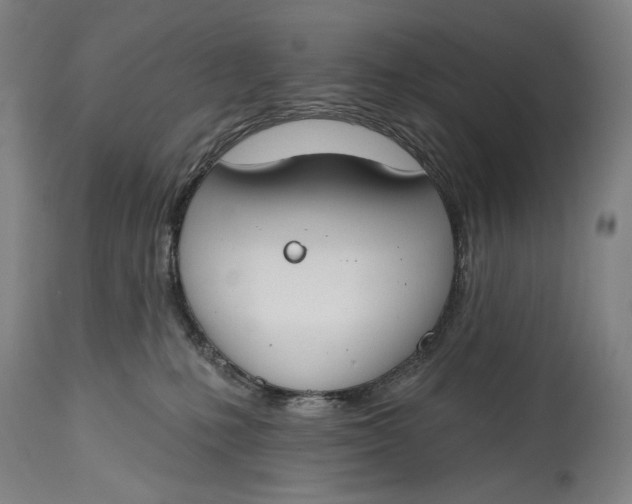 X0000114610231200911101159