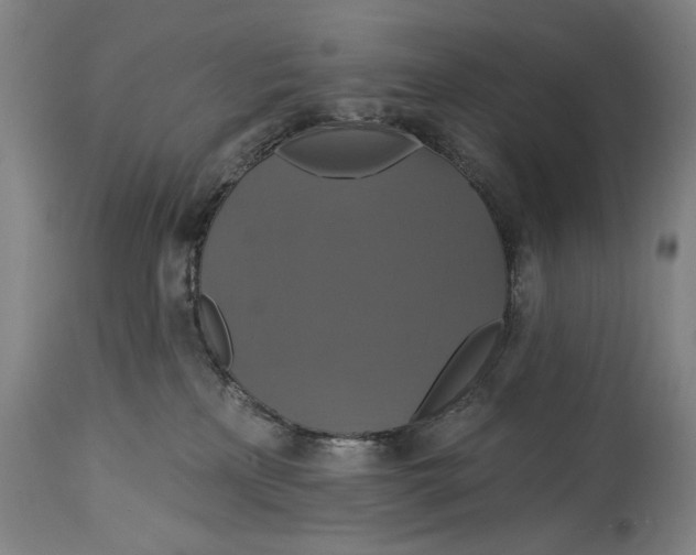 X0000114610233200911101159