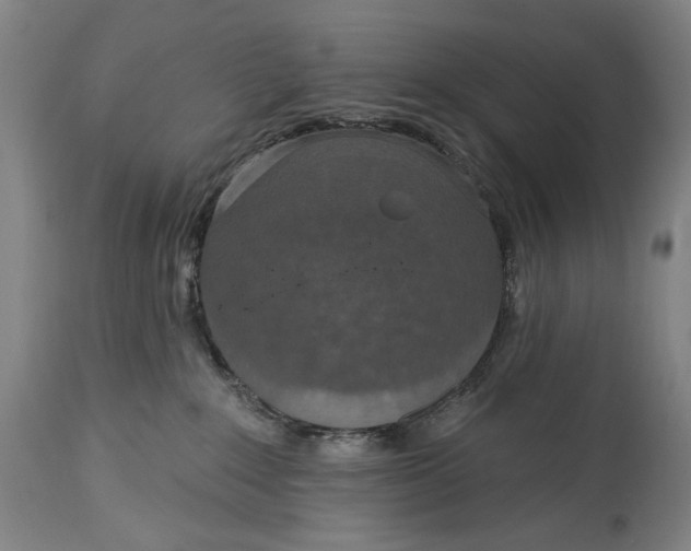 X0000114610235200911101159