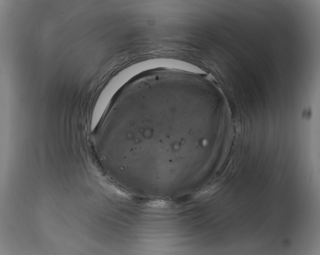 X0000114610237200911101159