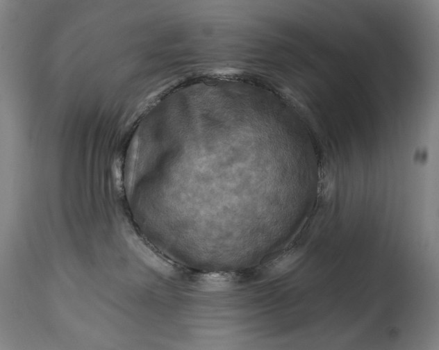 X0000114610238200911101159