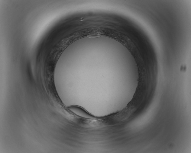 X0000114610239200911101159