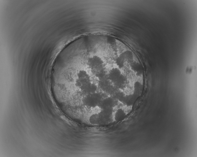 X0000114610241200911101158