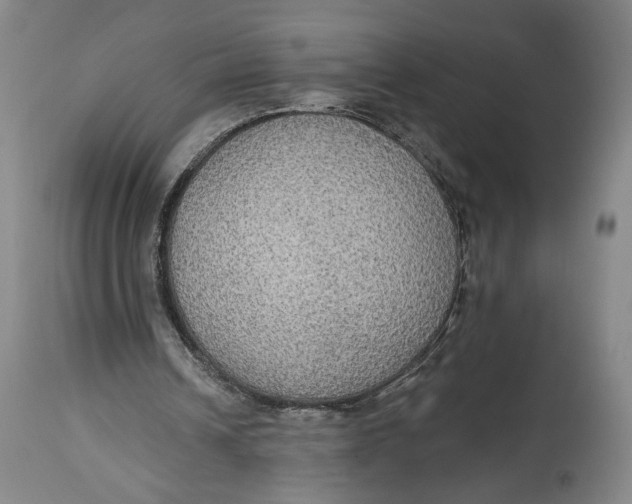 X0000114610242200911101158