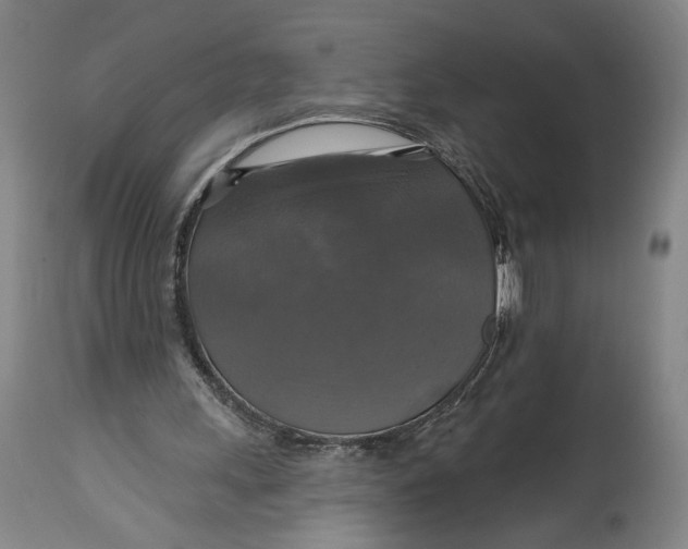 X0000114610243200911101158