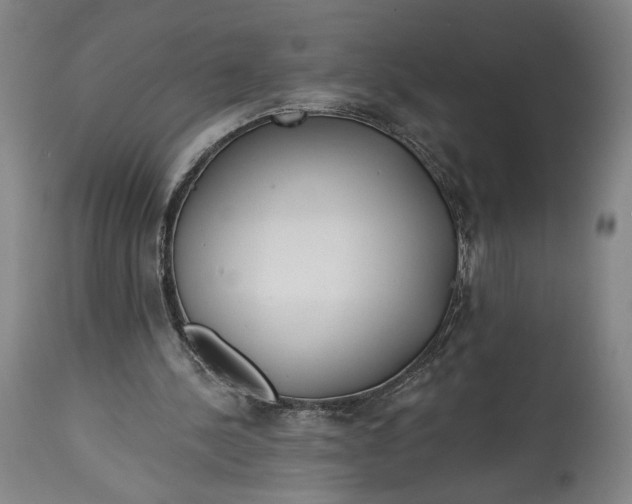 X0000114610244200911101158