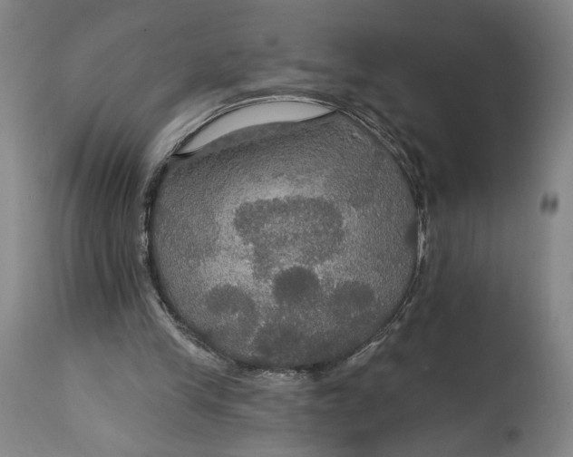 X0000114610245200911101158