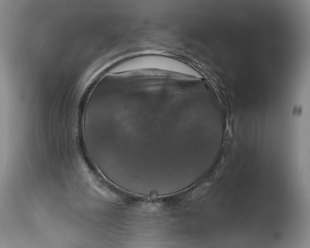 X0000114610247200911101158