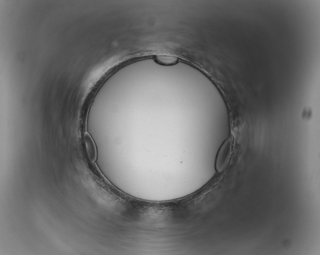 X0000114610248200911101158