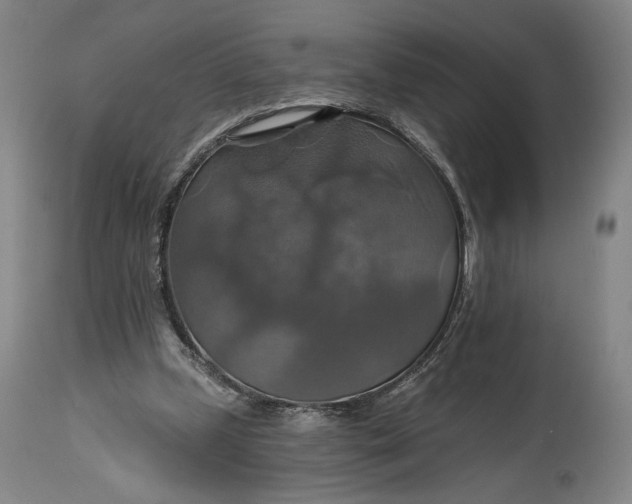 X0000114610249200911101158