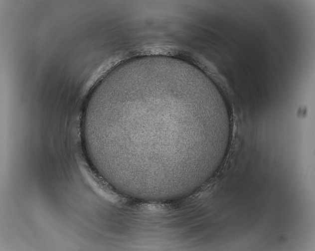 X0000114610250200911101158