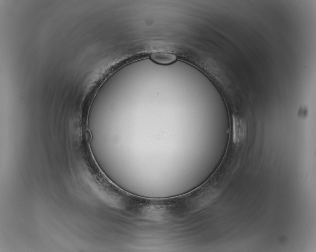 X0000114610252200911101158