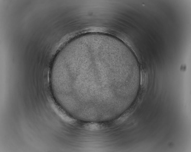 X0000114610253200911101158