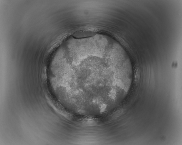 X0000114610254200911101158