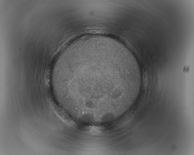 X0000114610255200911101158