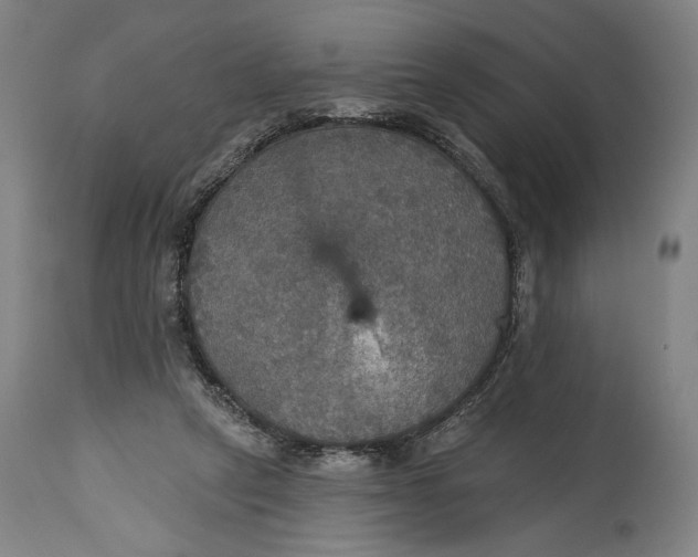 X0000114610257200911101158