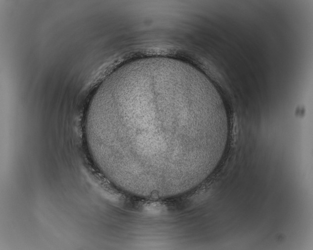 X0000114610258200911101158