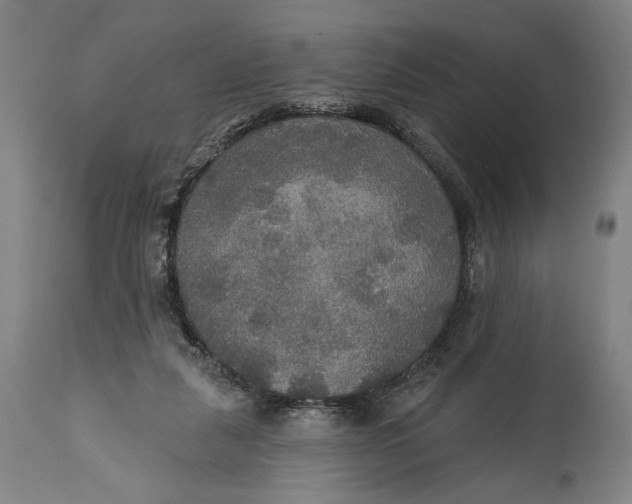 X0000114610259200911101158