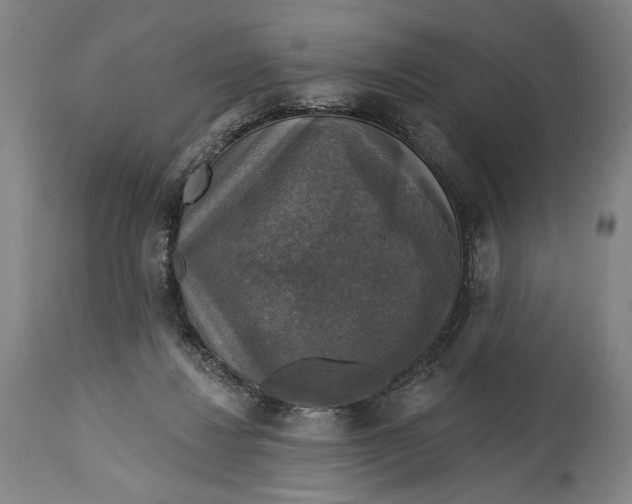 X0000114610260200911101158