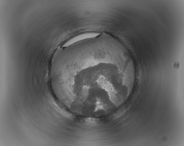 X0000114610261200911101158