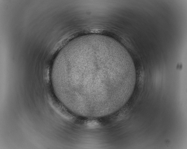 X0000114610262200911101158