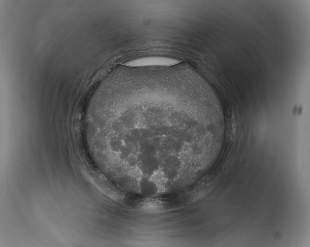 X0000114610263200911101158