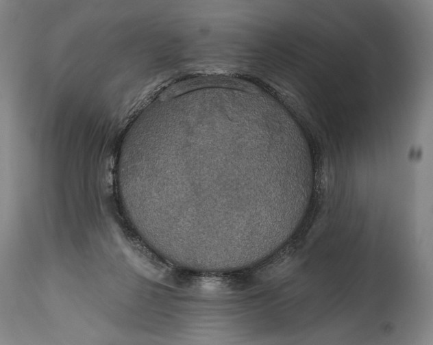 X0000114610264200911101158