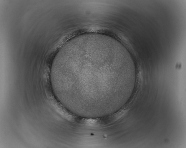 X0000114610265200911101158